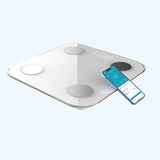 BMI High-Precision Body Fat Scale