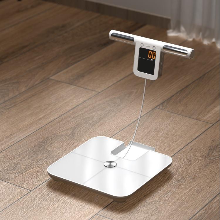 8-Electrode Body Weight Scale